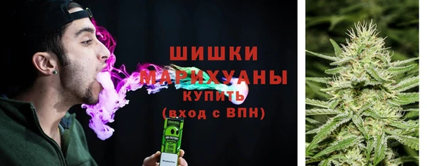 амф Бронницы