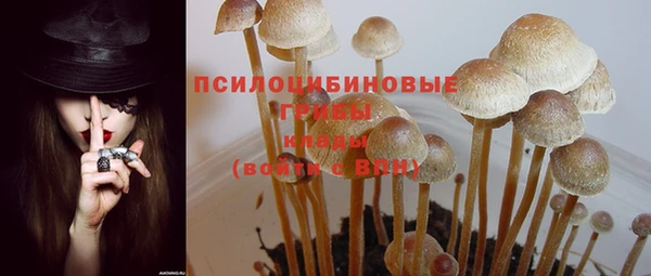 мдпв Богданович