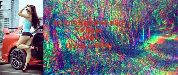 амф Бронницы