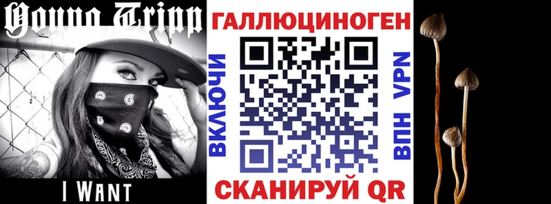 закладка  mega как зайти  Галлюциногенные грибы прущие грибы  Качканар 
